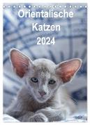 Orientalische Katzen 2024 (Tischkalender 2024 DIN A5 hoch), CALVENDO Monatskalender