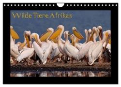 Wilde Tiere Afrikas (Wandkalender 2024 DIN A4 quer), CALVENDO Monatskalender