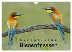 Europäische Bienenfresser (Wandkalender 2024 DIN A4 quer), CALVENDO Monatskalender