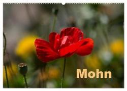 Mohn (Wandkalender 2024 DIN A2 quer), CALVENDO Monatskalender