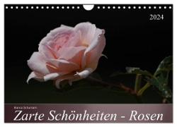 Zarte Schönheiten - Rosen (Wandkalender 2024 DIN A4 quer), CALVENDO Monatskalender