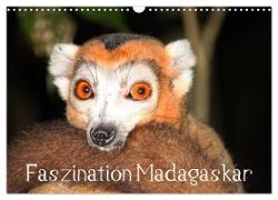 Faszination Madagaskar (Wandkalender 2024 DIN A3 quer), CALVENDO Monatskalender