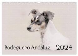 Bodeguero Andaluz 2024 (Wandkalender 2024 DIN A3 quer), CALVENDO Monatskalender