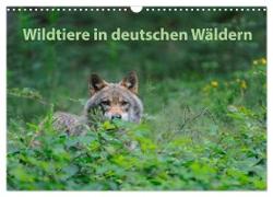 Wildtiere in deutschen Wäldern (Wandkalender 2024 DIN A3 quer), CALVENDO Monatskalender