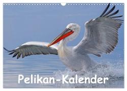 Pelikan-Kalender (Wandkalender 2024 DIN A3 quer), CALVENDO Monatskalender