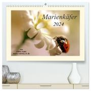 Marienkäfer / 2024 (hochwertiger Premium Wandkalender 2024 DIN A2 quer), Kunstdruck in Hochglanz