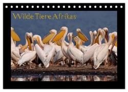 Wilde Tiere Afrikas (Tischkalender 2024 DIN A5 quer), CALVENDO Monatskalender
