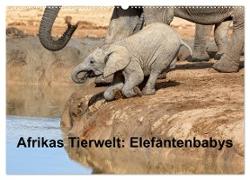 Afrikas Tierwelt: Elefantenbabys (Wandkalender 2024 DIN A2 quer), CALVENDO Monatskalender