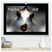 Fische am Riff (hochwertiger Premium Wandkalender 2024 DIN A2 quer), Kunstdruck in Hochglanz