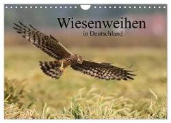Wiesenweihen in Deutschland (Wandkalender 2024 DIN A4 quer), CALVENDO Monatskalender