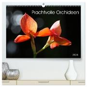 Prachtvolle Orchideen (hochwertiger Premium Wandkalender 2024 DIN A2 quer), Kunstdruck in Hochglanz