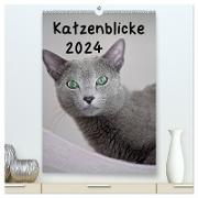 Katzenblicke 2024 (hochwertiger Premium Wandkalender 2024 DIN A2 hoch), Kunstdruck in Hochglanz