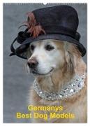 Germanys Best Dog Models - gestylte Labrador und Golden Retriever (Wandkalender 2024 DIN A2 hoch), CALVENDO Monatskalender