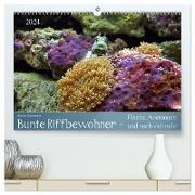 Bunte Riffbewohner - Fische, Anemonen und noch viel mehr (hochwertiger Premium Wandkalender 2024 DIN A2 quer), Kunstdruck in Hochglanz