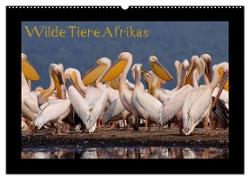 Wilde Tiere Afrikas (Wandkalender 2024 DIN A2 quer), CALVENDO Monatskalender