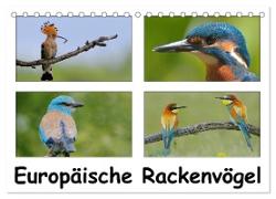 Europäische Rackenvögel (Tischkalender 2024 DIN A5 quer), CALVENDO Monatskalender