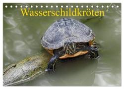 Wasserschildkröten (Tischkalender 2024 DIN A5 quer), CALVENDO Monatskalender