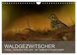 Waldgezwitscher - Vögel unserer Wälder (Wandkalender 2024 DIN A4 quer), CALVENDO Monatskalender