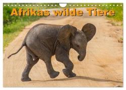 Afrikas wilde Tiere (Wandkalender 2024 DIN A4 quer), CALVENDO Monatskalender