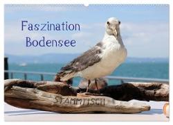 Faszination Bodensee (Wandkalender 2024 DIN A2 quer), CALVENDO Monatskalender