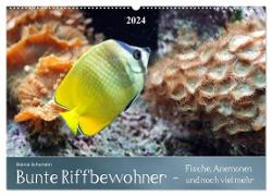 Bunte Riffbewohner - Fische, Anemonen und noch viel mehr (Wandkalender 2024 DIN A2 quer), CALVENDO Monatskalender