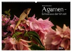 Agamen - Echsen aus der Urzeit (Wandkalender 2024 DIN A2 quer), CALVENDO Monatskalender