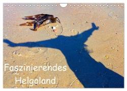 Faszinierendes Helgoland (Wandkalender 2024 DIN A4 quer), CALVENDO Monatskalender