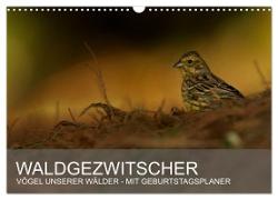 Waldgezwitscher - Vögel unserer Wälder (Wandkalender 2024 DIN A3 quer), CALVENDO Monatskalender