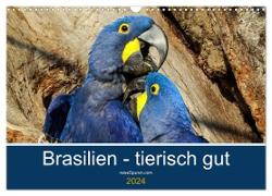 Brasilien tierisch gut 2024 (Wandkalender 2024 DIN A3 quer), CALVENDO Monatskalender