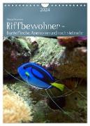 Riffbewohner - Bunte Fische, Anemonen und noch viel mehr (Wandkalender 2024 DIN A4 hoch), CALVENDO Monatskalender