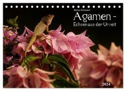 Agamen - Echsen aus der Urzeit (Tischkalender 2024 DIN A5 quer), CALVENDO Monatskalender