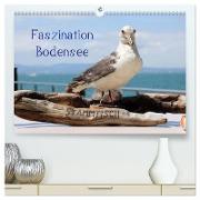 Faszination Bodensee (hochwertiger Premium Wandkalender 2024 DIN A2 quer), Kunstdruck in Hochglanz