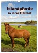 Islandpferde in ihrer Heimat (Wandkalender 2024 DIN A3 hoch), CALVENDO Monatskalender