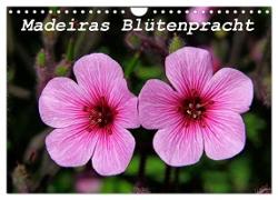Madeiras Blütenpracht (Wandkalender 2024 DIN A4 quer), CALVENDO Monatskalender