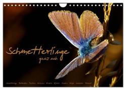 Schmetterlinge ganz nah (Wandkalender 2024 DIN A4 quer), CALVENDO Monatskalender