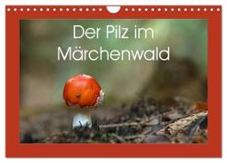 Der Pilz im Märchenwald (Wandkalender 2024 DIN A4 quer), CALVENDO Monatskalender