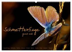 Schmetterlinge ganz nah (Wandkalender 2024 DIN A2 quer), CALVENDO Monatskalender