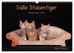 Süße Stubentiger - Katzenkinder (Wandkalender 2024 DIN A3 quer), CALVENDO Monatskalender