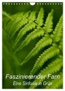 Faszinierender Farn - Eine Sinfonie in Grün (Wandkalender 2024 DIN A4 hoch), CALVENDO Monatskalender