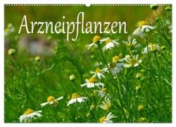 Arzneipflanzen (Wandkalender 2024 DIN A2 quer), CALVENDO Monatskalender