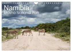 Namibia - Etosha National Park (Wandkalender 2024 DIN A4 quer), CALVENDO Monatskalender