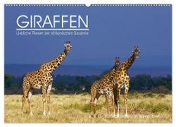 GIRAFFEN - Liebliche Riesen der afrikanischen Savanne (Wandkalender 2024 DIN A2 quer), CALVENDO Monatskalender