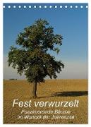Fest verwurzelt - Faszinierende Bäume im Wandel der Jahreszeit (Tischkalender 2024 DIN A5 hoch), CALVENDO Monatskalender