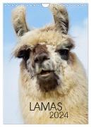 LAMAS (Wandkalender 2024 DIN A4 hoch), CALVENDO Monatskalender