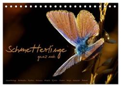 Schmetterlinge ganz nah (Tischkalender 2024 DIN A5 quer), CALVENDO Monatskalender