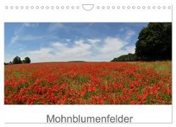 Mohnblumenfelder (Wandkalender 2024 DIN A4 quer), CALVENDO Monatskalender