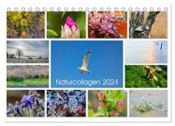 Naturcollagen 2024 (Tischkalender 2024 DIN A5 quer), CALVENDO Monatskalender