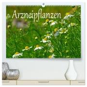 Arzneipflanzen (hochwertiger Premium Wandkalender 2024 DIN A2 quer), Kunstdruck in Hochglanz