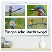 Europäische Rackenvögel (hochwertiger Premium Wandkalender 2024 DIN A2 quer), Kunstdruck in Hochglanz
