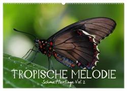 Tropische Melodie - Schmetterlinge Vol.2 (Wandkalender 2024 DIN A2 quer), CALVENDO Monatskalender